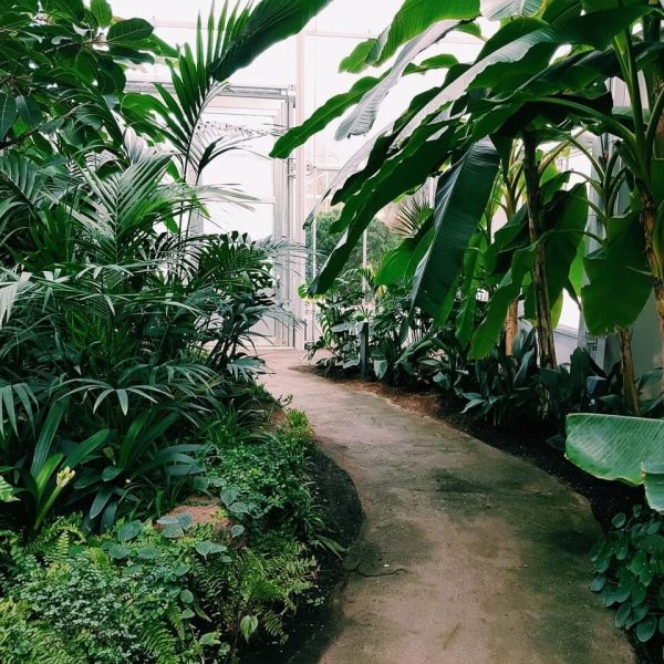 photography-of-pathway-surrounded-by-plants.jpg photography-of-pathway-surrounded-by-plants.jpg
